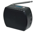 Dual design radio STR 101 black